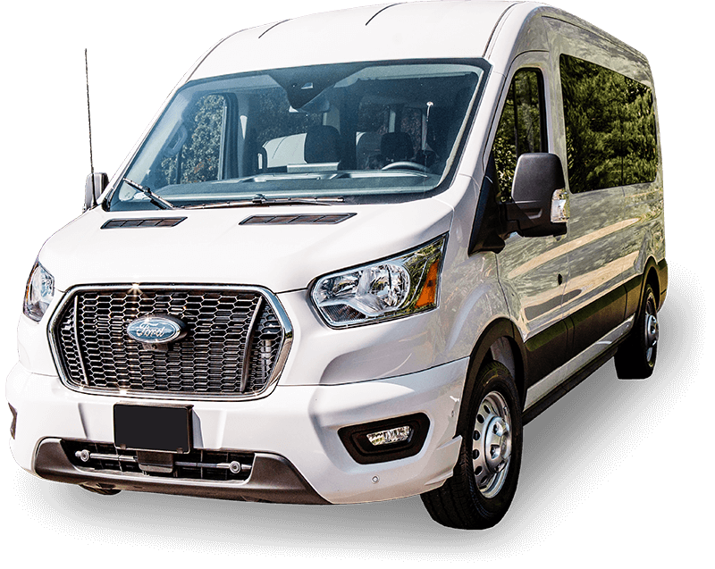 White Ford transit van parked, front and side view, with a forest background.